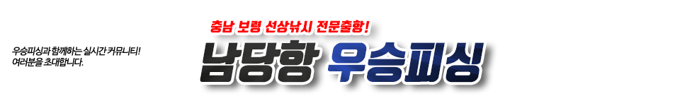 남당항 우승피싱