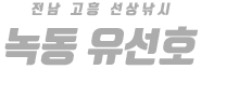 녹동 유선호 하단