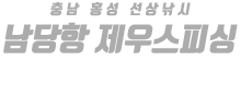 남당항 제우스피싱 하단