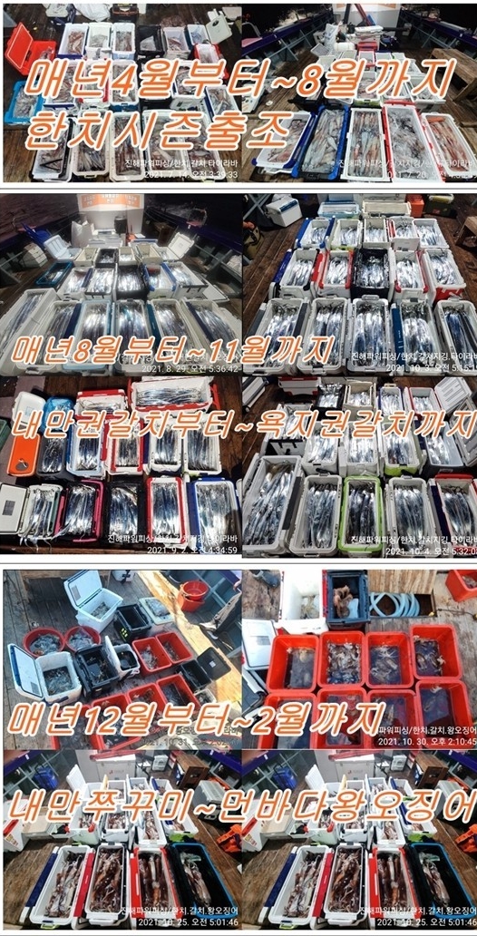 광고2.jpg