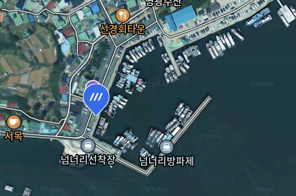 1000049170.jpg