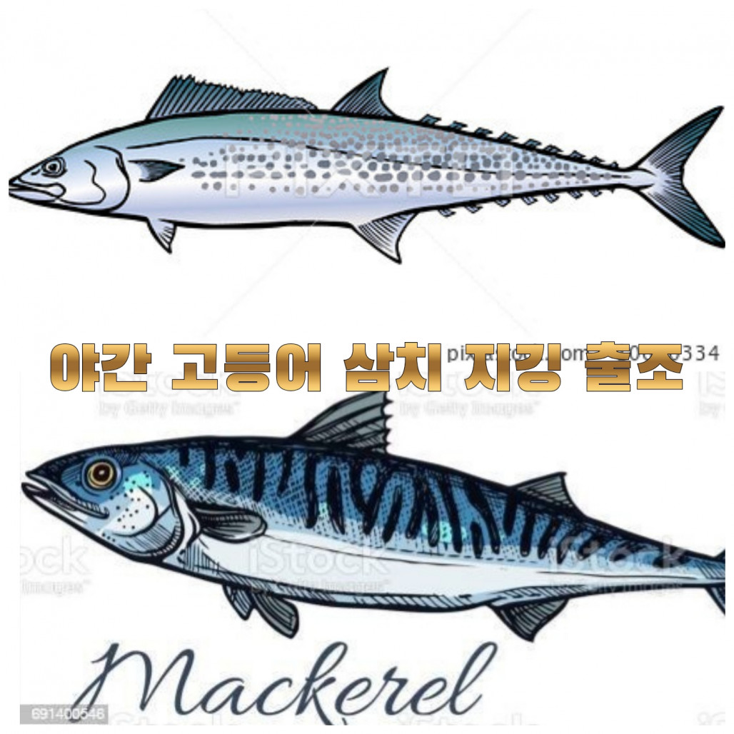 cu1754724425571.jpg