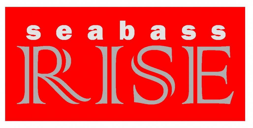 RISE12.JPG